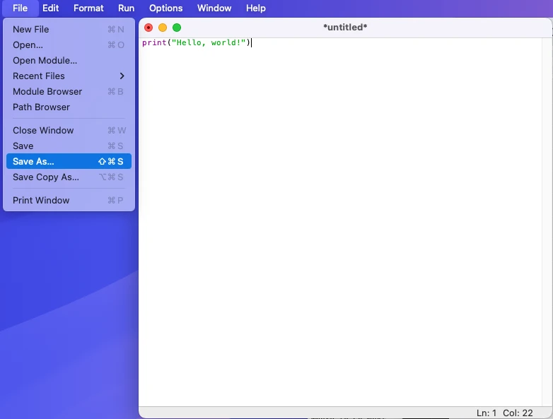 Your first program - 